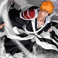 bleach english dub gogoanime