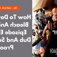 bleach english dub gogoanime