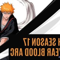 bleach english dub gogoanime