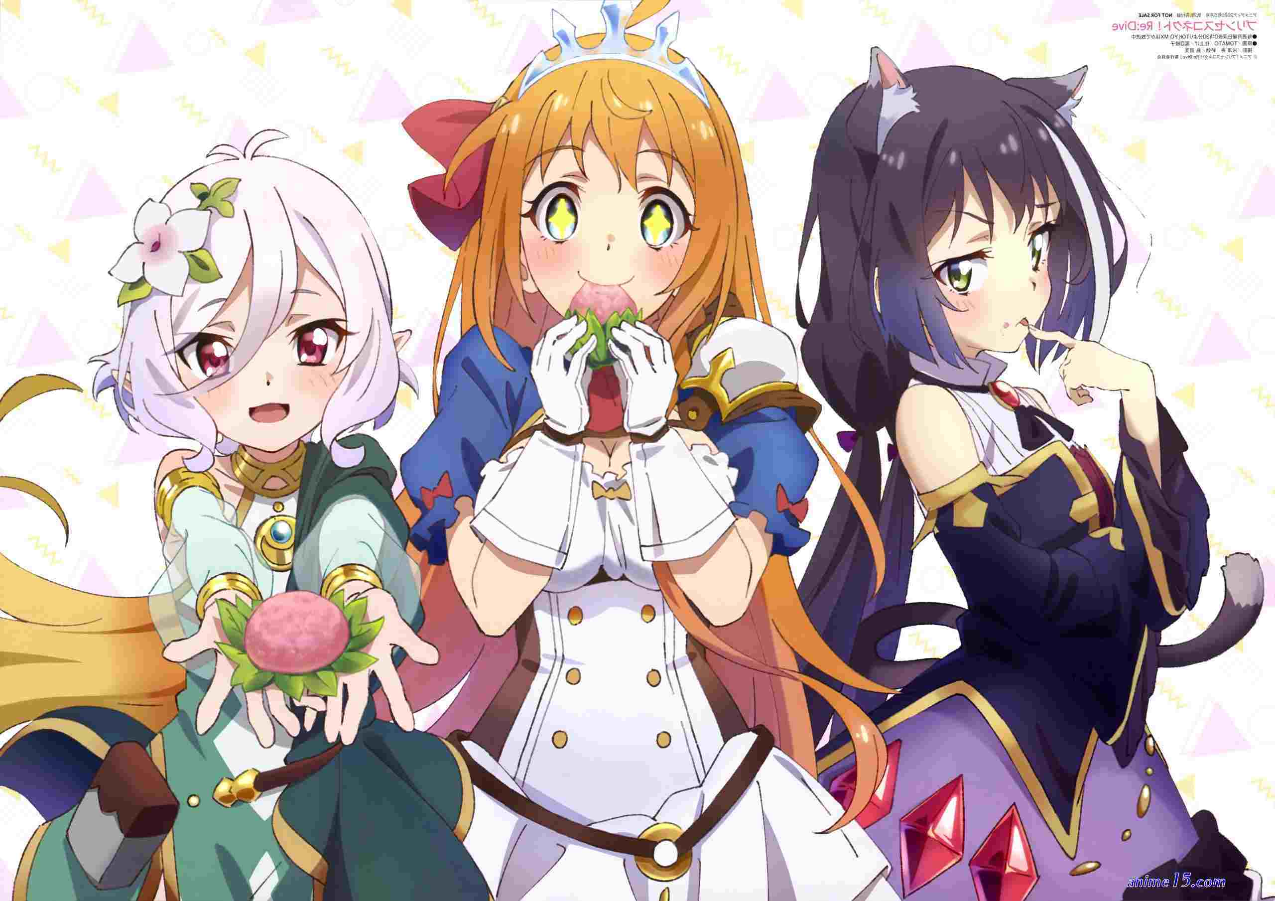 princess connect re dive bacth