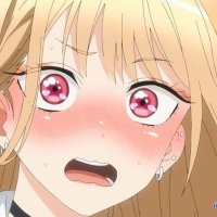 animes up