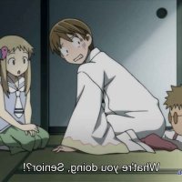 anime sentai shikabane hime