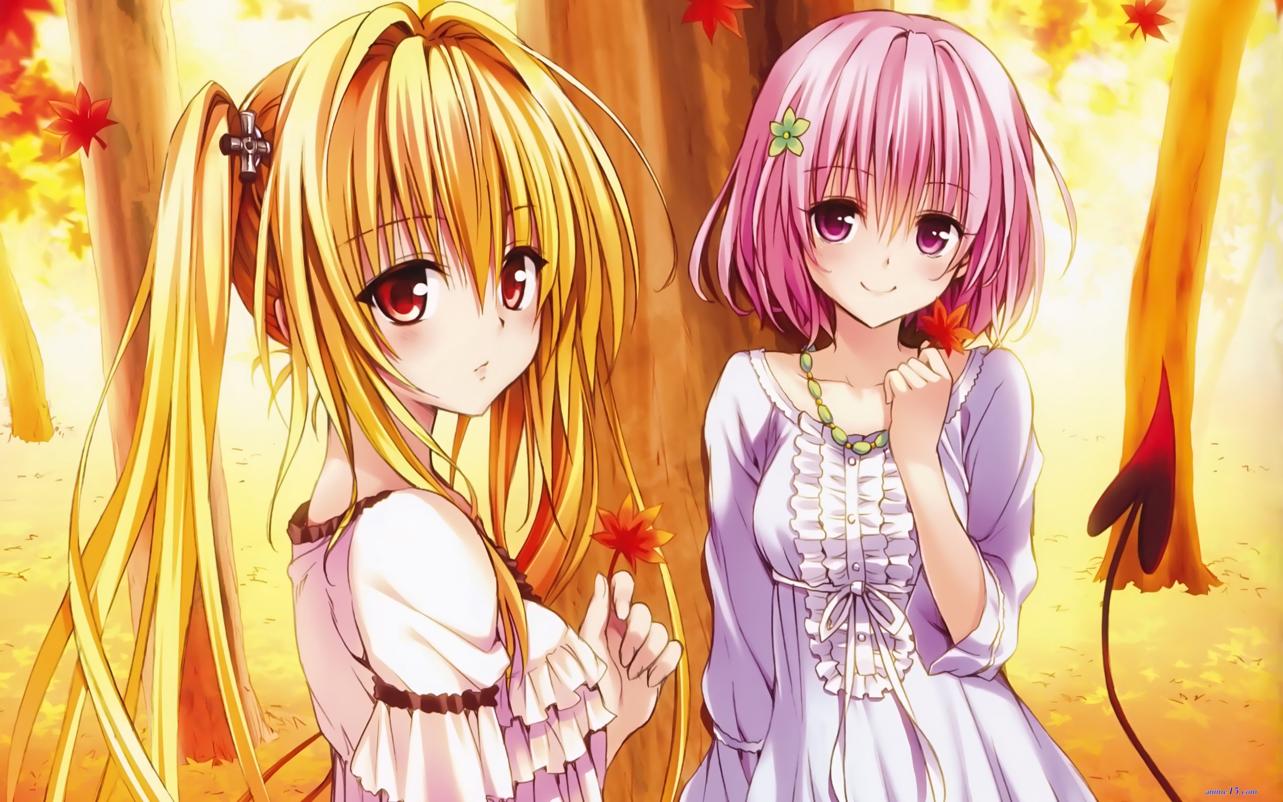 to love ru darkness season 2 sub indo bd