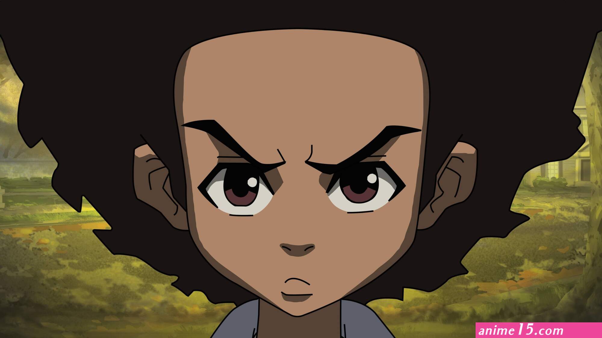 voircartoon com episode the boondocks saison 1 episode 5