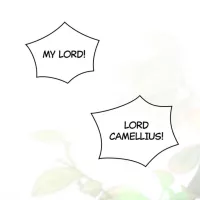 finding camillia novel