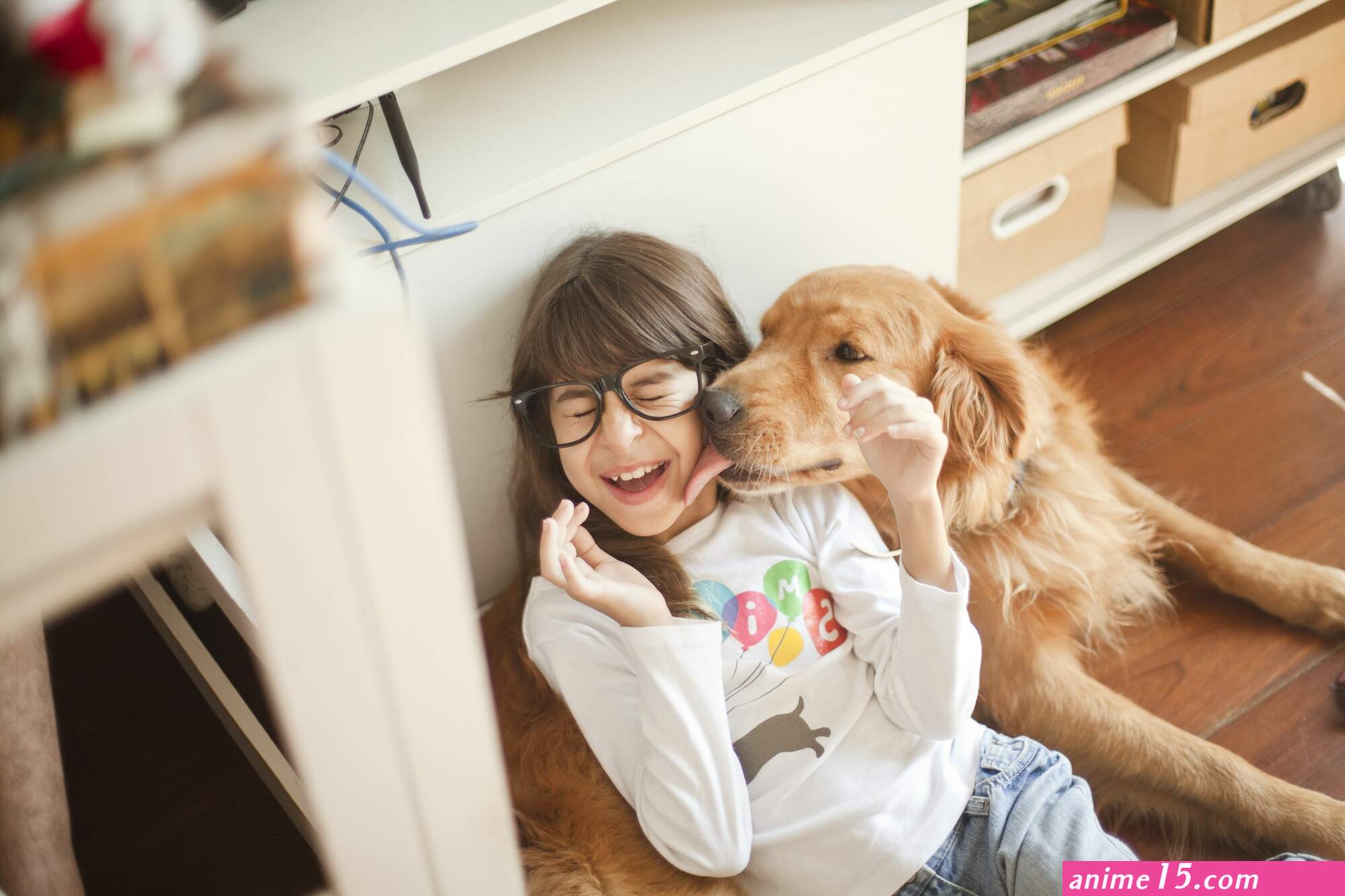 read silly dog and lady