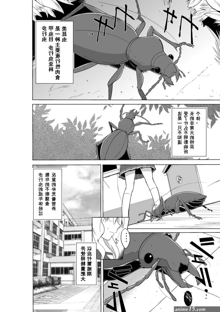 insect-bdsm-comics.jpg