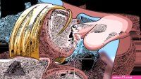 Android 18 Sucking Big Cock GIF VERSION by ooIRMAoo on Newgrounds