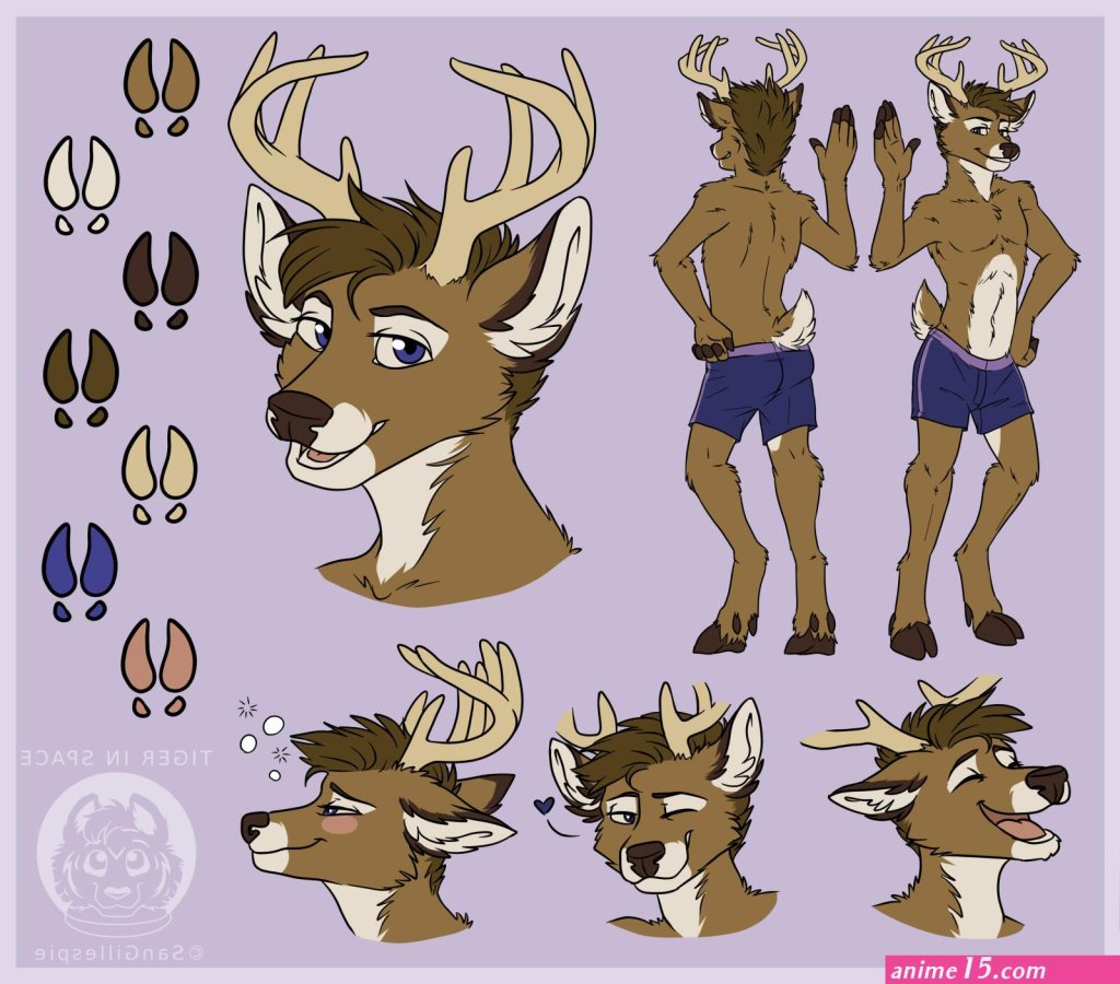 furry-nsfw-pirn-comic-character-sheet.jpg