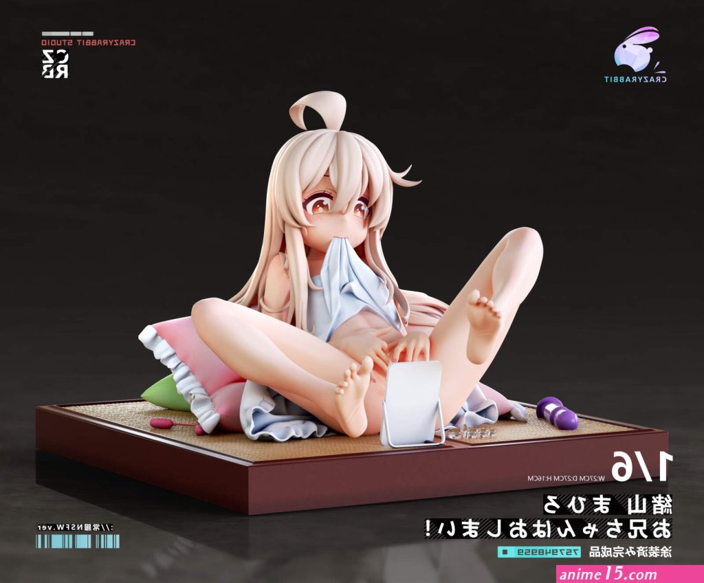 nsfw-anime-figures.jpg