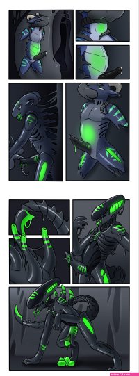 Rule34