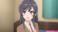 Wallpaper : Sakurajima Mai Seishun Buta Yar wa Bunny Girl senpai no Yume wo Min
