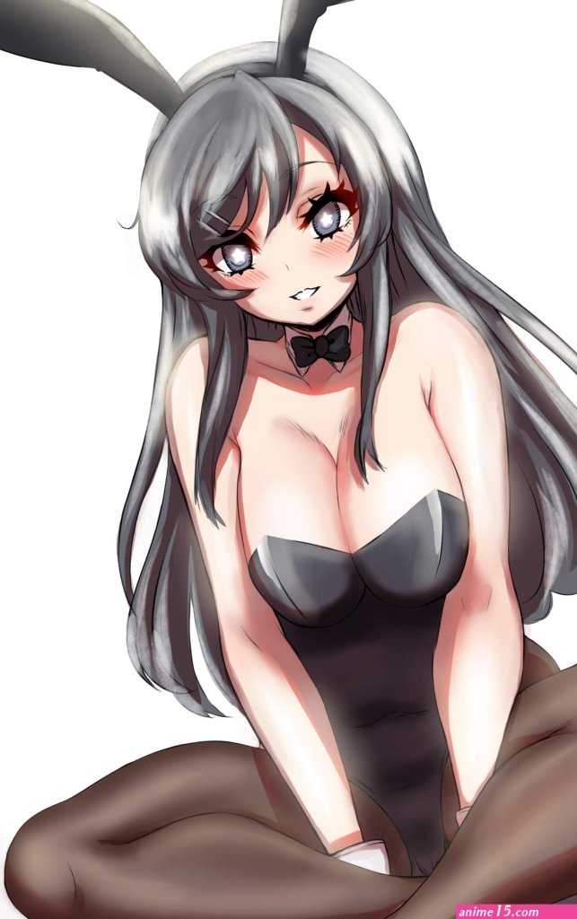Anime-bunny-suit-porn.jpg