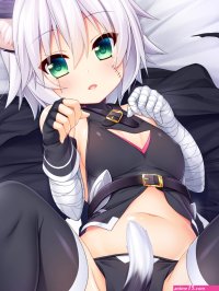 Wallpaper : anime girls short hair white hair scars stockings panties bondaged arm animal ears animal tail small boobs blushing 2560x3400