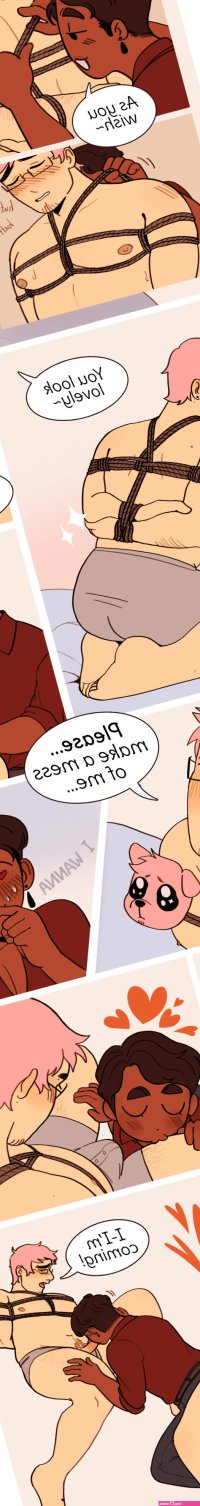 Oh Joy Sex Toy