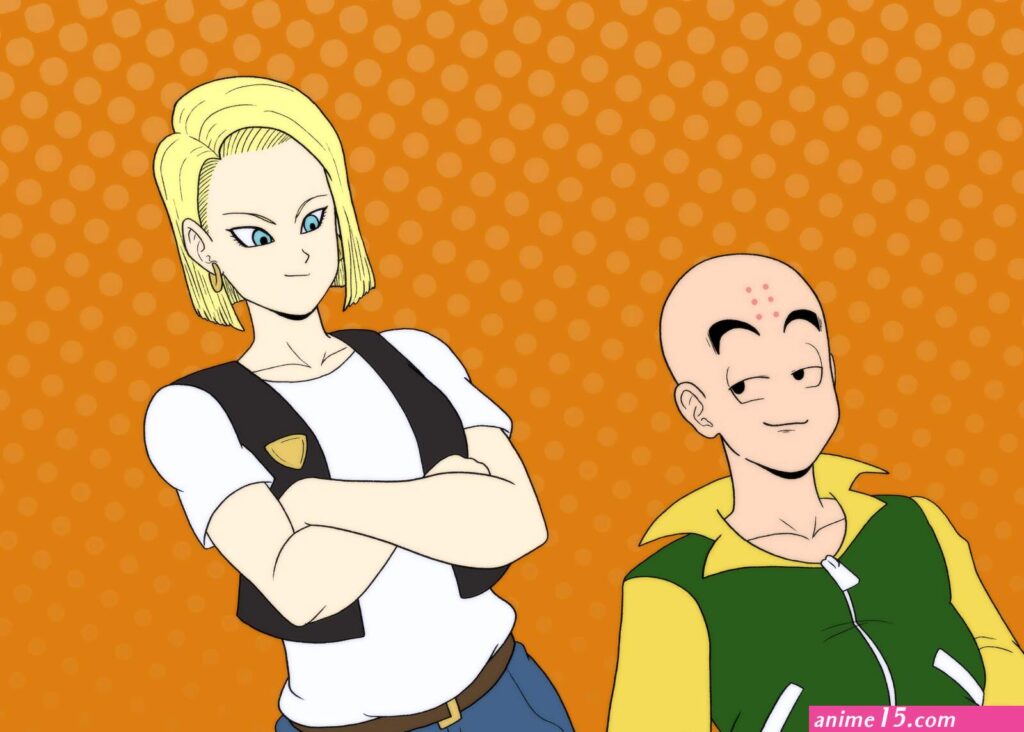 Dragon-ball-h-krillin-x-18-comic.jpg